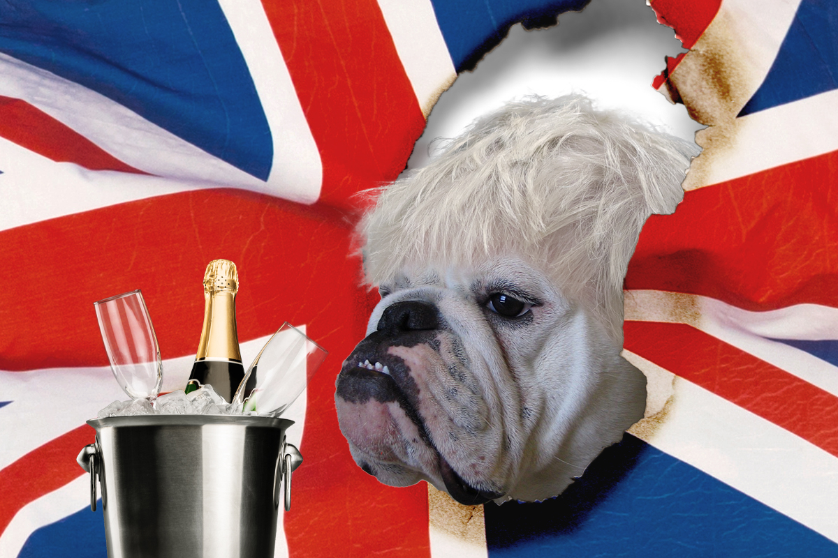 Big Dog Partygate