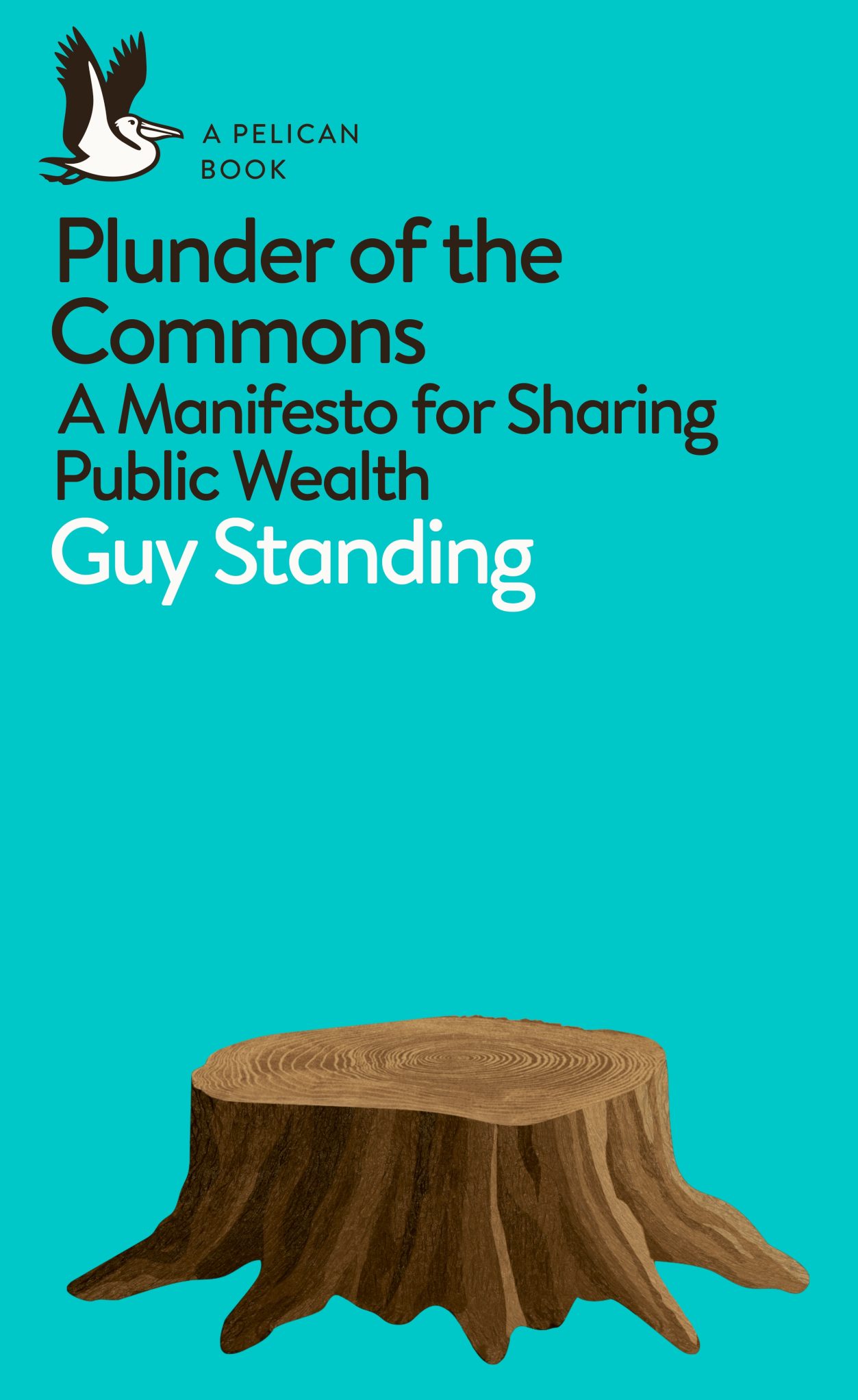 Plunder of the commons book