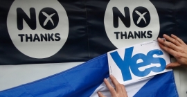 yes and no campaign