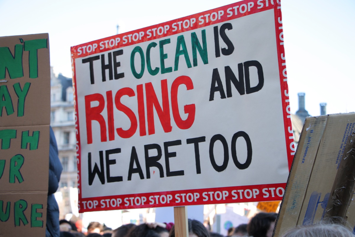 Climate strike Feb 2019 5