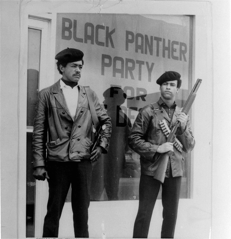 black panthers