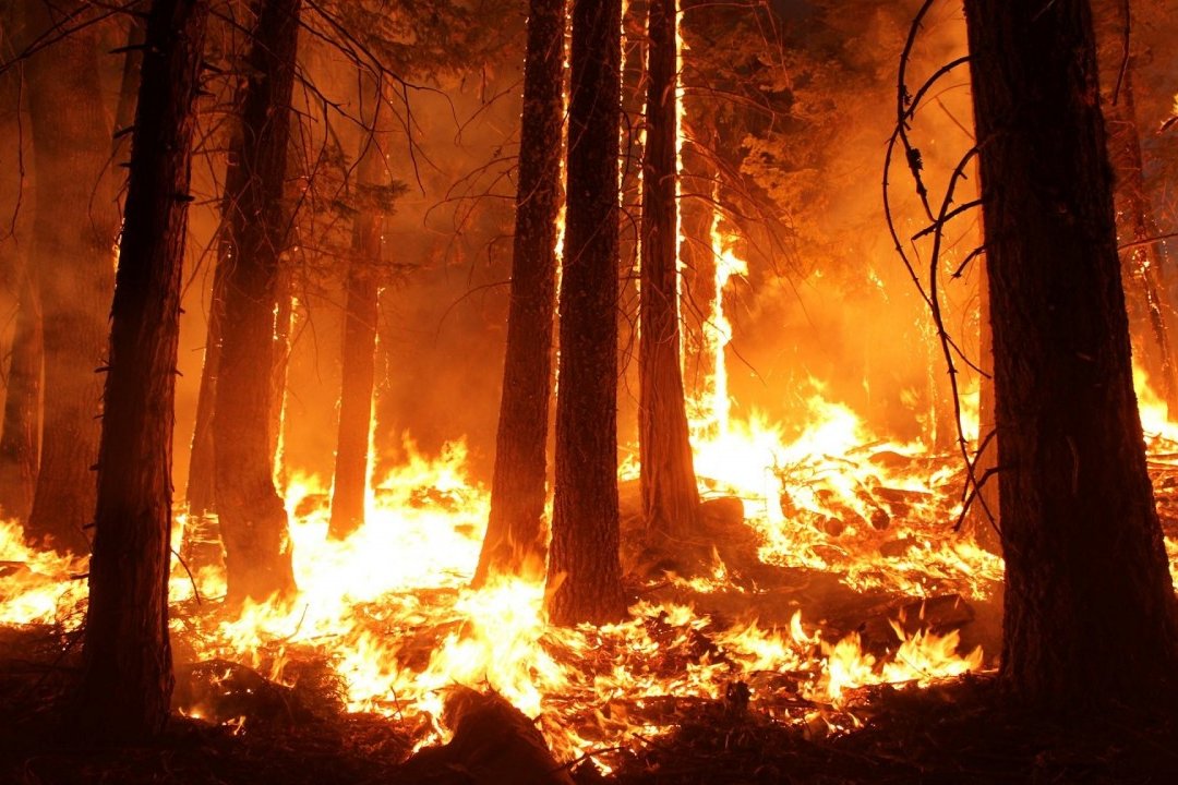 Amazon fire