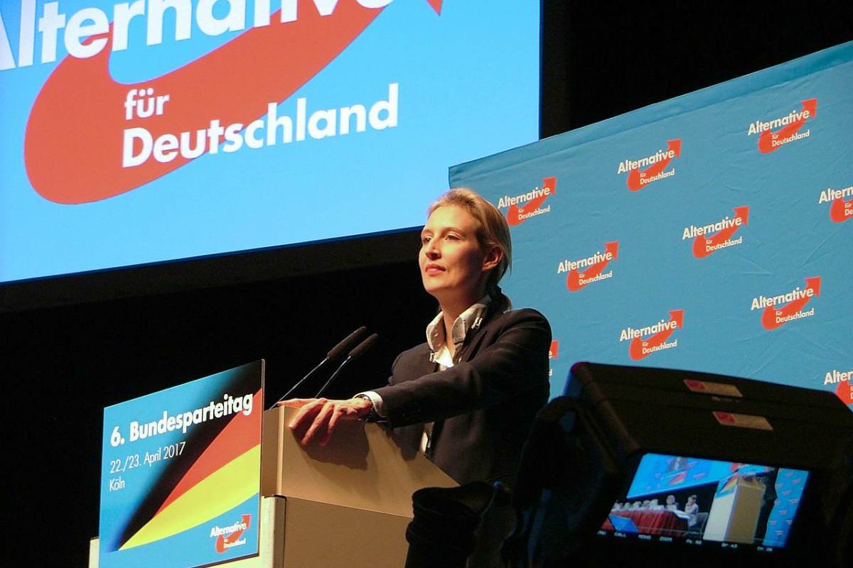AfD Bundesparteitag