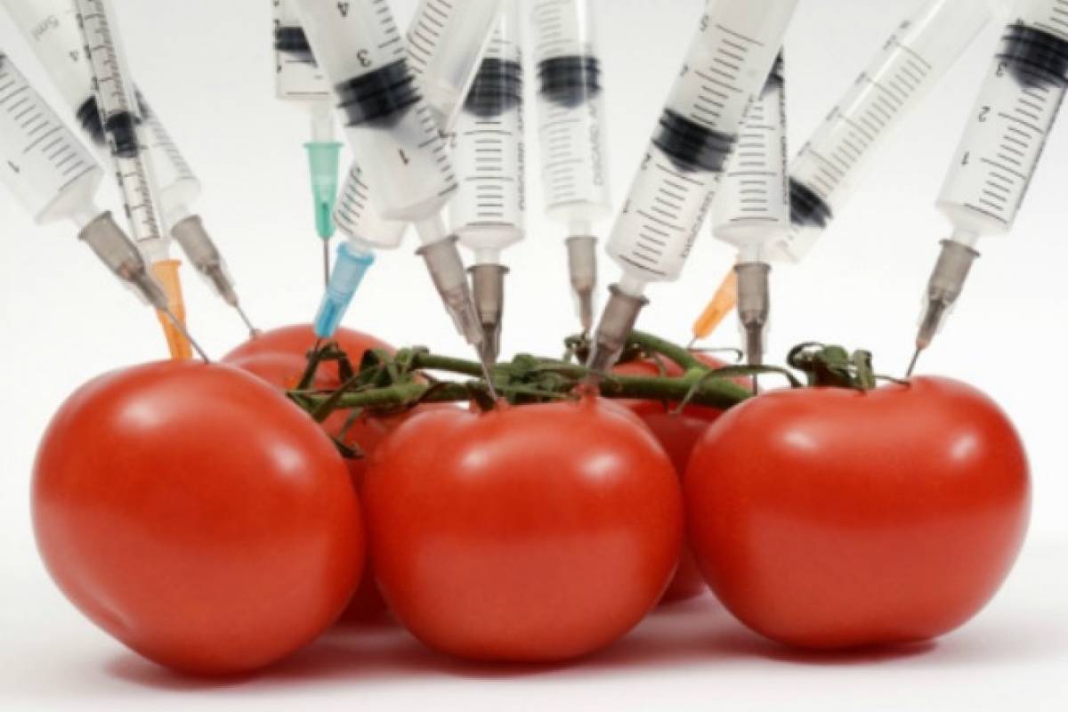 Genetically modified food