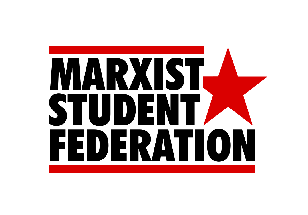 MSF Logo L