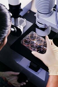 stem_cell_microscope.jpg stem_cell_microscope.jpg