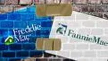 fannie.jpg