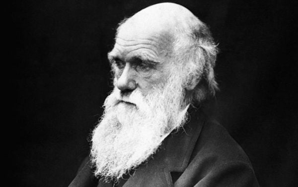 Marx, Darwin and Gould: The revolution of evolution