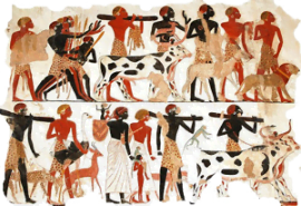 neolithic revolution