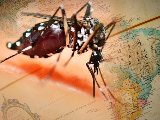 Zika virus: Capitalism’s infectious horror without end