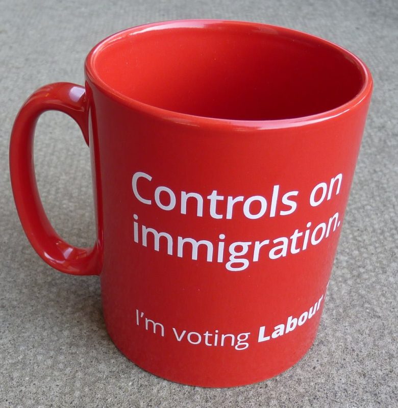 ControlsOnImmigrationMug