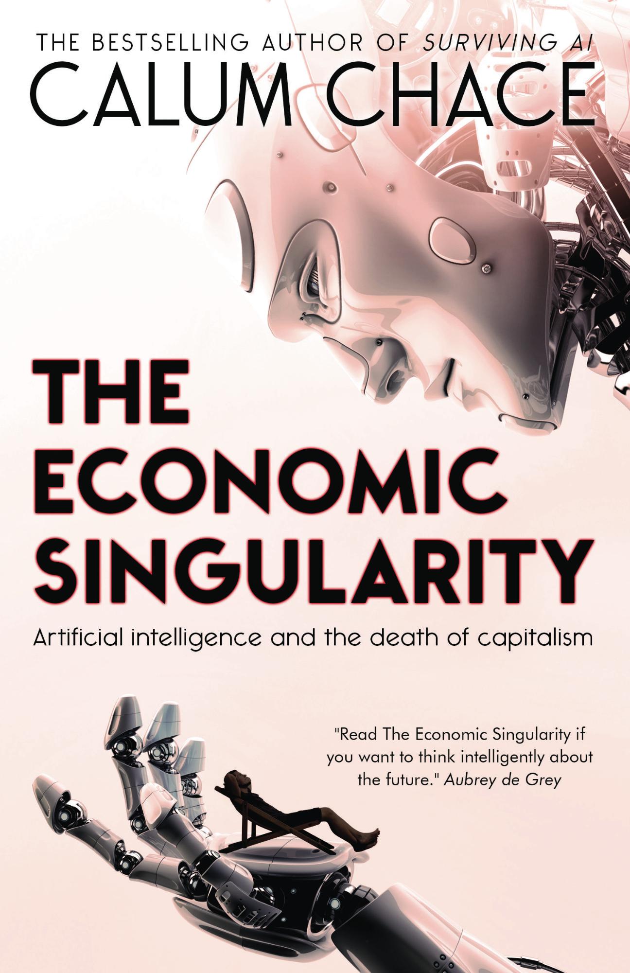 The Economic Singularity Cover