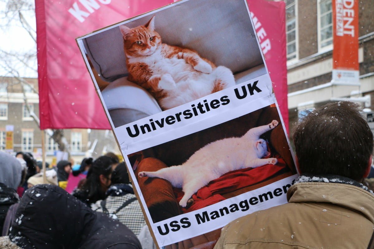 Fat cats