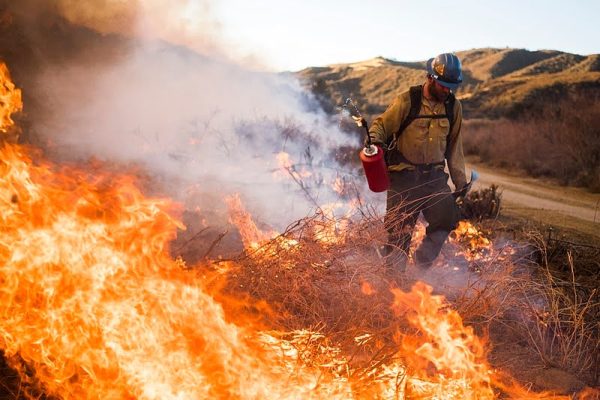 Climate chaos: capitalism to blame