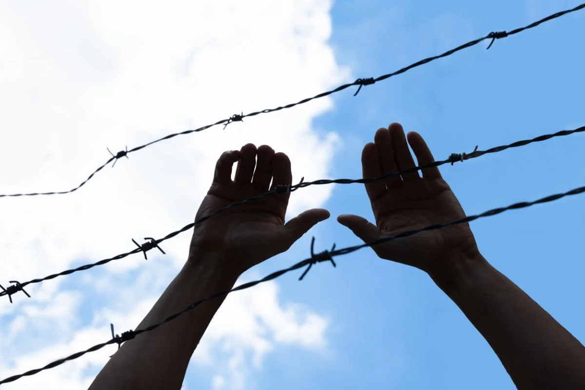 Barbed wire border migration refugees