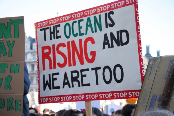 Capitalism is killing the planet – we need a revolution