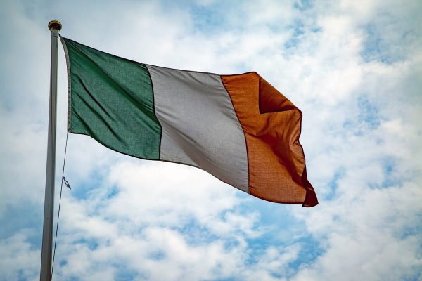 Local elections in Ireland: where next?