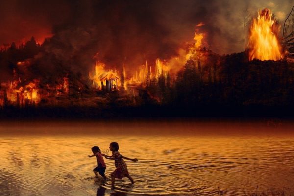 The Amazon is burning so a few can profit