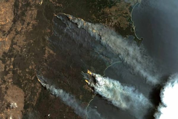 2020: a world on fire