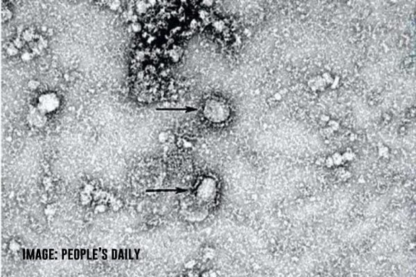 Chinese masses caught between disease & dictatorship