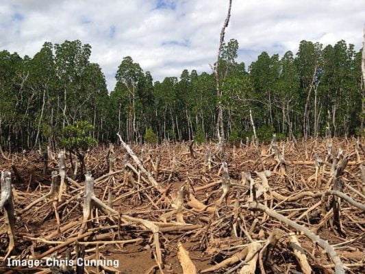 Environmental destruction