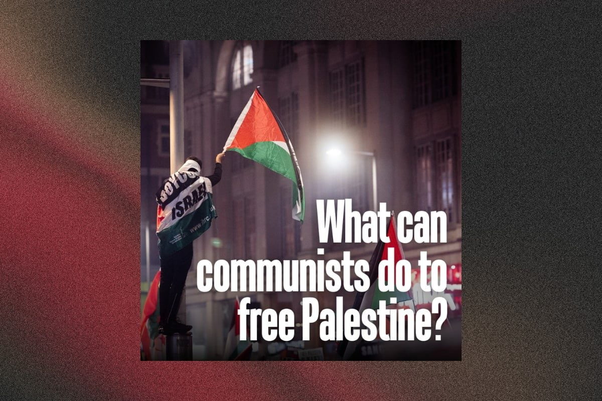 What can communists do to free Palestine?