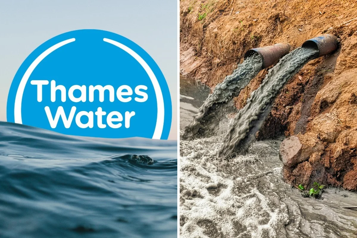 Water industry in crisis