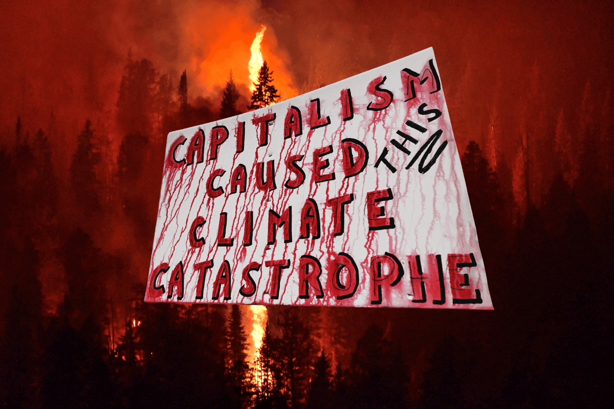 Climate crisis heats up – capitalism is killing the planet