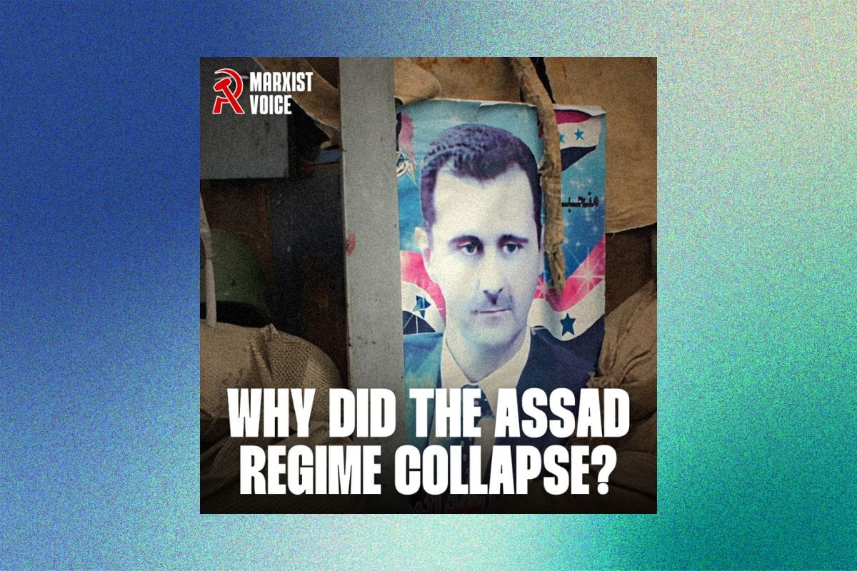 Why did the Assad regime collapse?