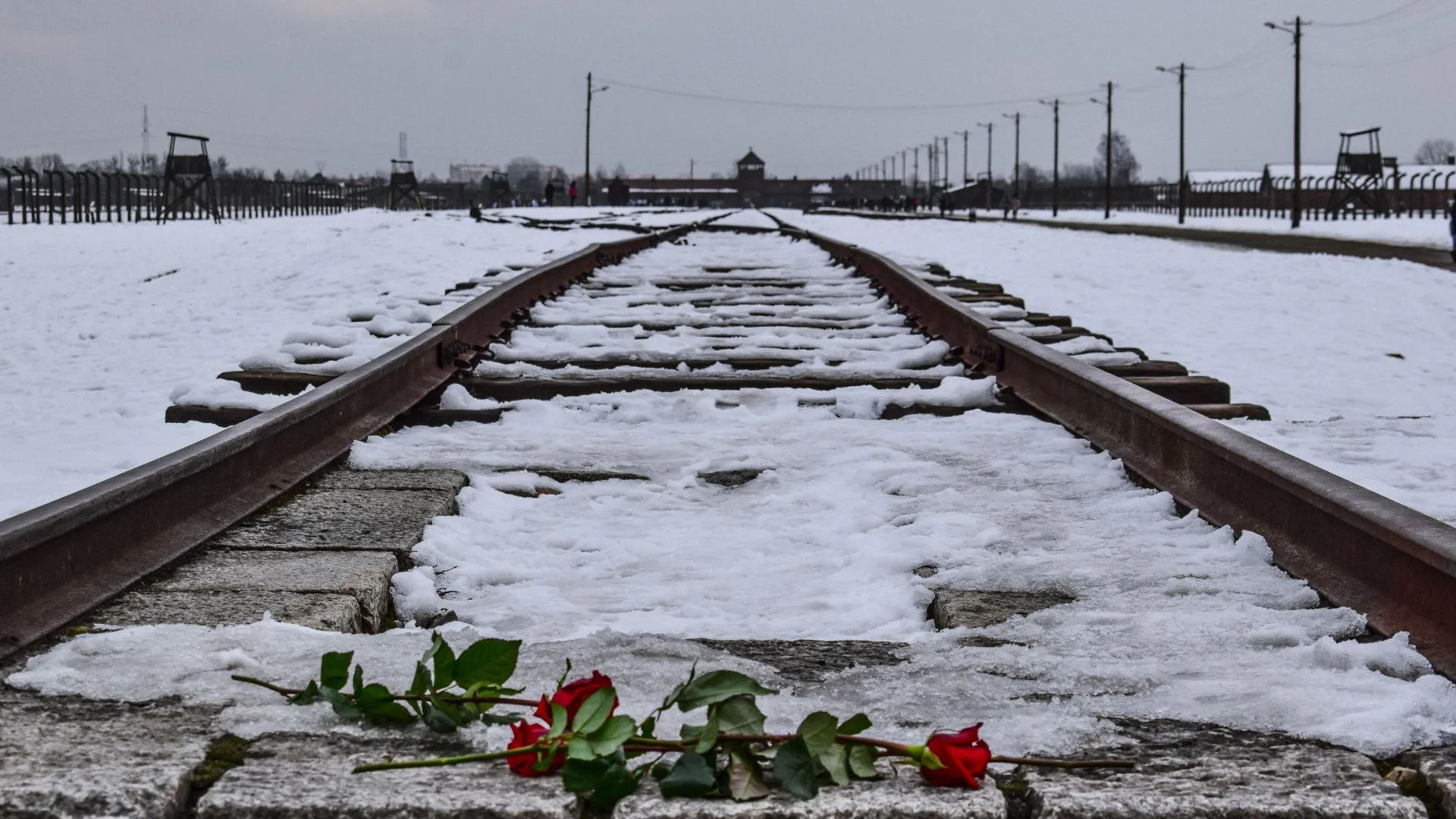 80 years after the liberation of Auschwitz 80 years after the liberation of Auschwitz
