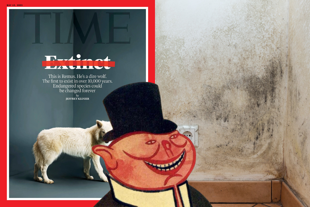 Letters issue 26 header