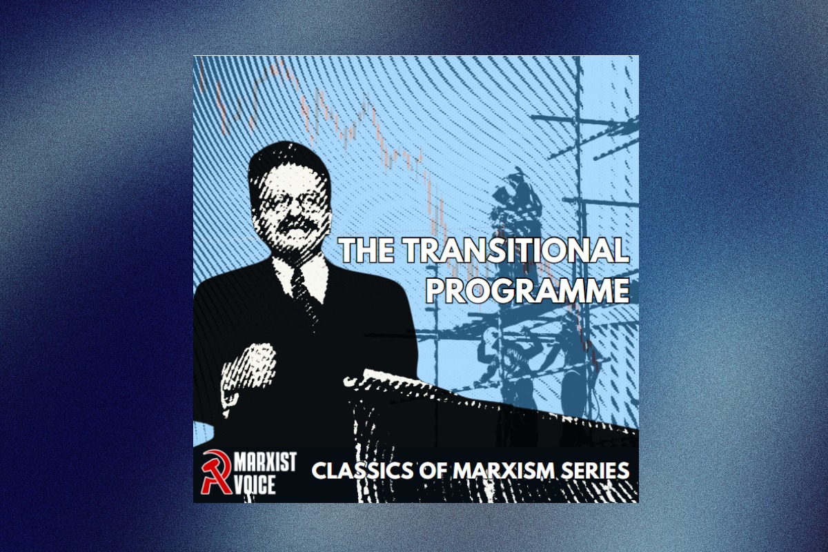Transitional programme