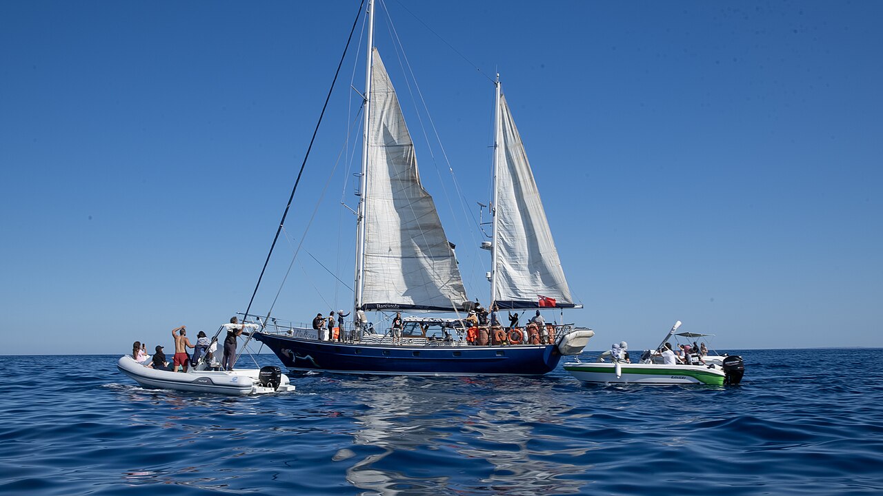 Madleen Image Freedom Flotilla Coalition Wikimedia Commons