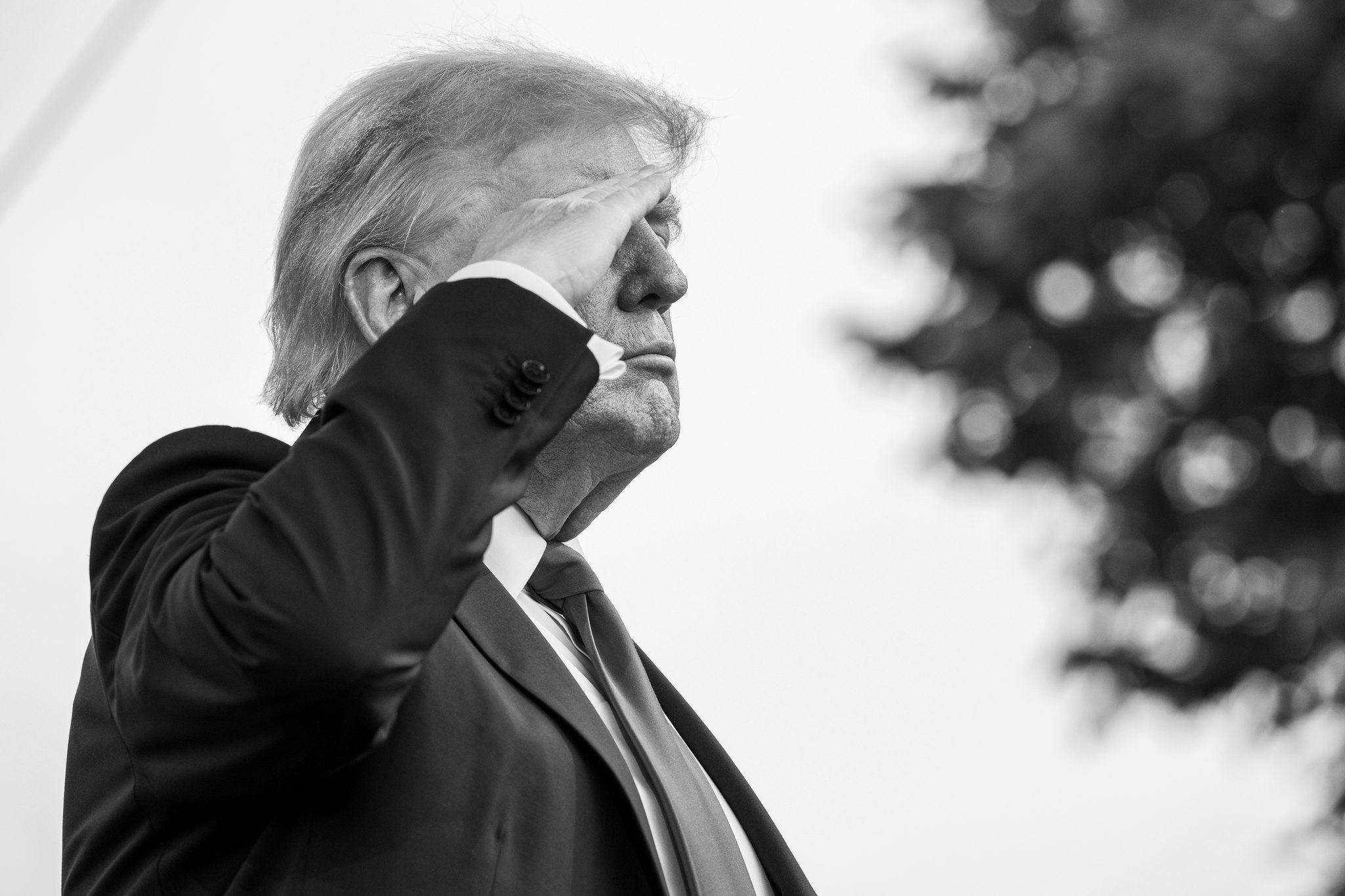 Trump Salute Image The White House Flickr