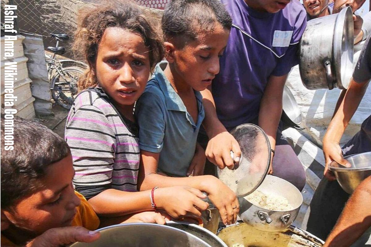 famine in gaza