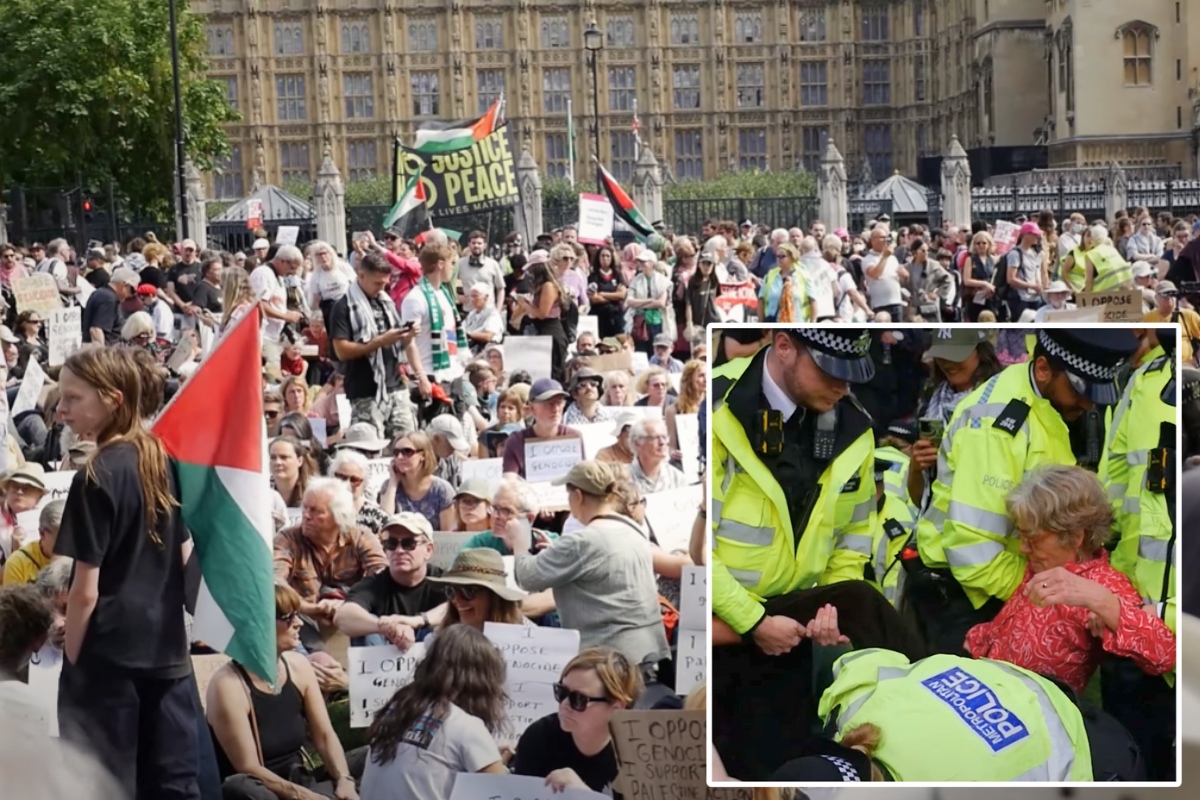 Palestine arrests parliament square