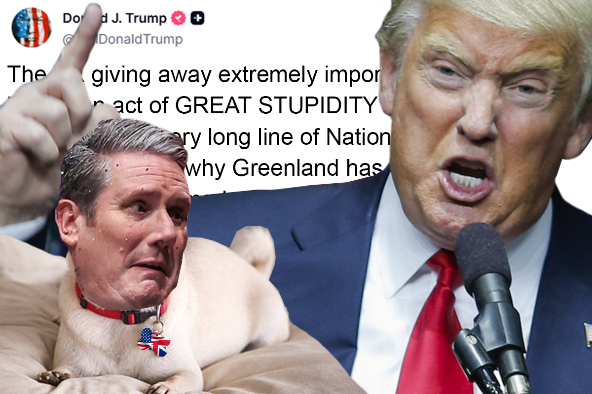 dog and master.jpg (1)