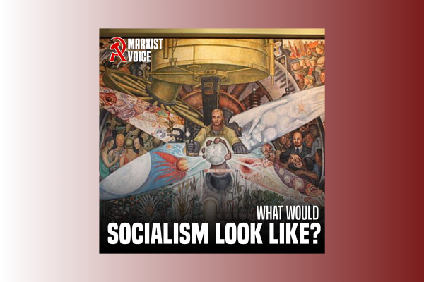 What would socialism look like?