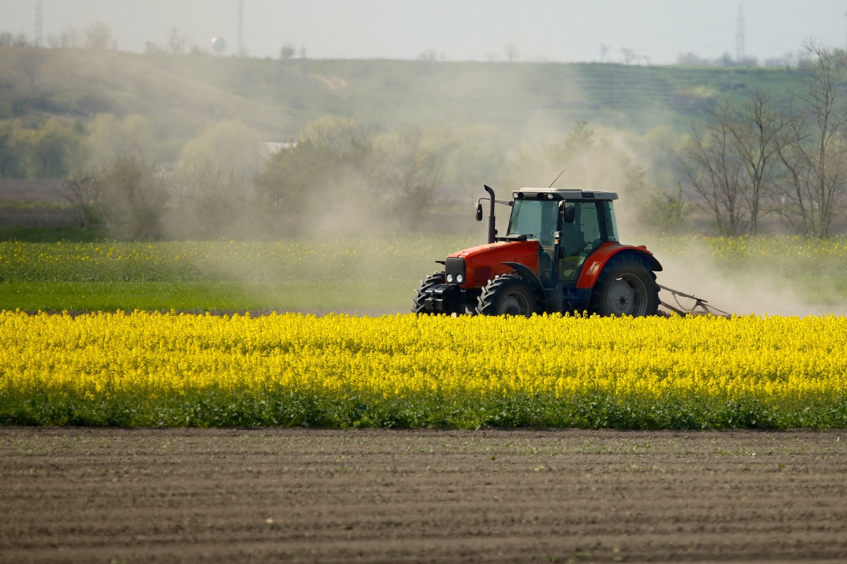Britain’s food system ‘close to collapse’: Capitalism is starving us