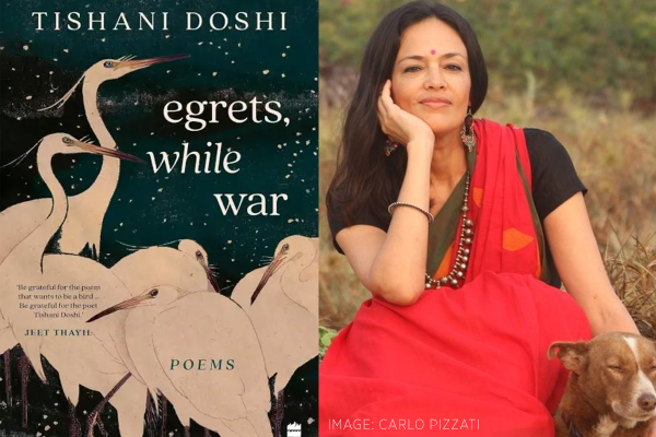“We are aglow, and the future is coming for us”: Tishani Doshi’s ‘Egrets, While War’