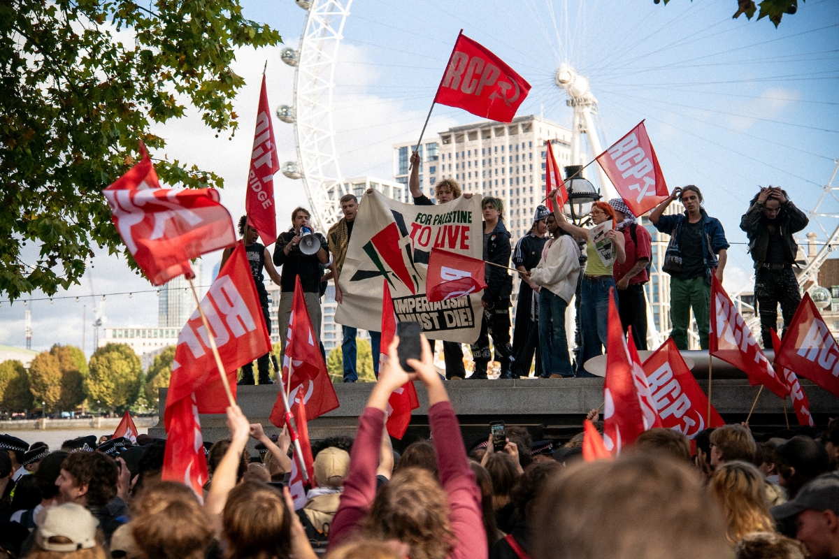 Comrades on memorial Palestine demo