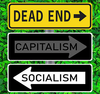 What will socialism look like?